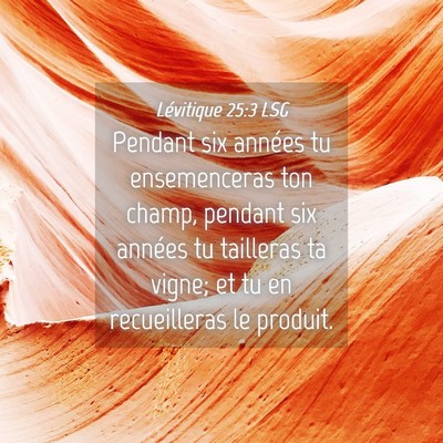 Picture 04 - Lévitique 25:3 LSG - Pendant six années tu ensemenceras ton champ, - Bible Verse Picture