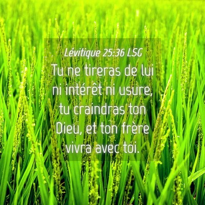 Picture 04 - Lévitique 25:36 LSG - Tu ne tireras de lui ni intérêt ni usure, tu - Bible Verse Picture