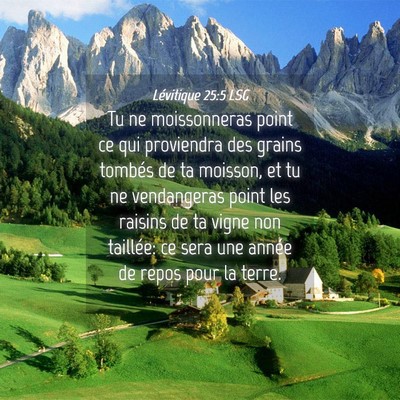 Picture 04 - Lévitique 25:5 LSG - Tu ne moissonneras point ce qui proviendra des - Bible Verse Picture