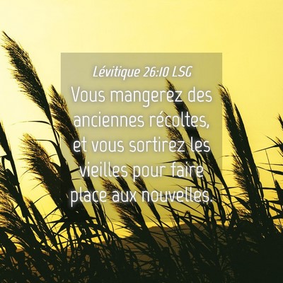 Picture 04 - Lévitique 26:10 LSG - Vous mangerez des anciennes récoltes, et vous - Bible Verse Picture