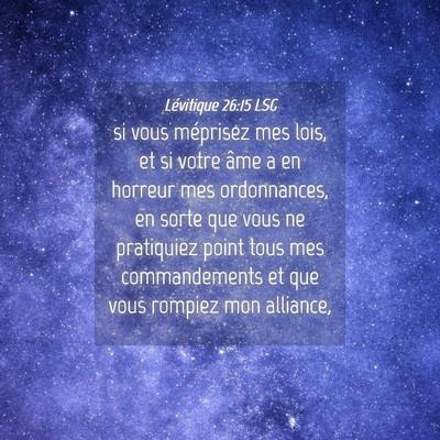 Picture 04 - Lévitique 26:15 LSG - si vous méprisez mes lois, et si votre âme a en - Bible Verse Picture