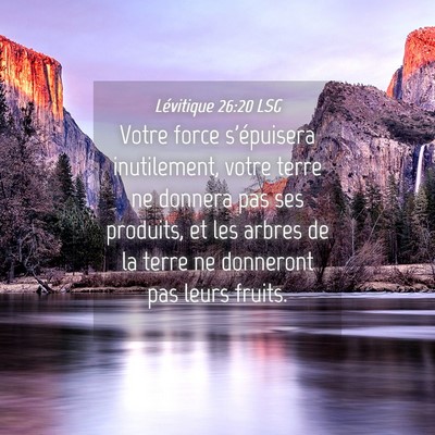 Picture 04 - Lévitique 26:20 LSG - Votre force s'épuisera inutilement, votre terre - Bible Verse Picture