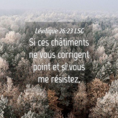 Picture 04 - Lévitique 26:23 LSG - Si ces châtiments ne vous corrigent point et si - Bible Verse Picture