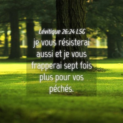Picture 04 - Lévitique 26:24 LSG - je vous résisterai aussi et je vous frapperai - Bible Verse Picture