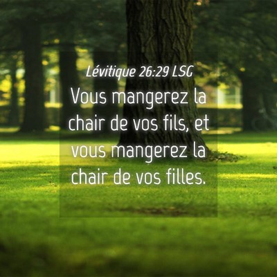 Picture 04 - Lévitique 26:29 LSG - Vous mangerez la chair de vos fils, et vous - Bible Verse Picture