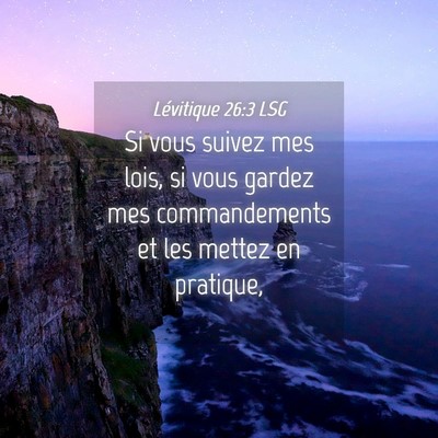 Picture 04 - Lévitique 26:3 LSG - Si vous suivez mes lois, si vous gardez mes - Bible Verse Picture