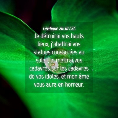 Picture 04 - Lévitique 26:30 LSG - Je détruirai vos hauts lieux, j'abattrai vos - Bible Verse Picture