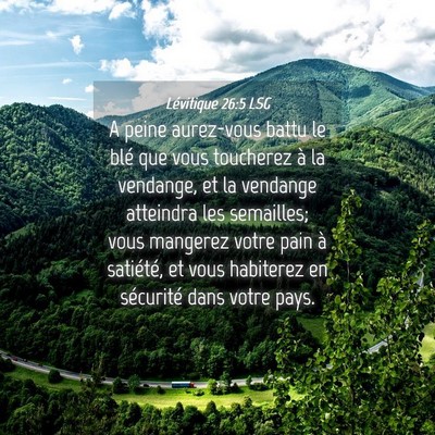 Picture 04 - Lévitique 26:5 LSG - A peine aurez-vous battu le blé que vous - Bible Verse Picture