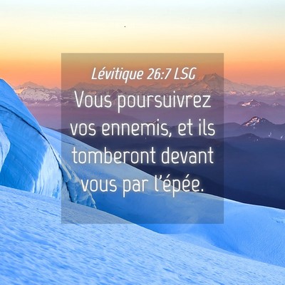 Picture 04 - Lévitique 26:7 LSG - Vous poursuivrez vos ennemis, et ils tomberont - Bible Verse Picture