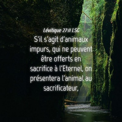 Picture 04 - Lévitique 27:11 LSG - S'il s'agit d'animaux impurs, qui ne peuvent - Bible Verse Picture
