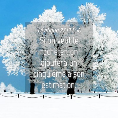 Picture 04 - Lévitique 27:13 LSG - Si on veut le racheter, on ajoutera un cinquième - Bible Verse Picture
