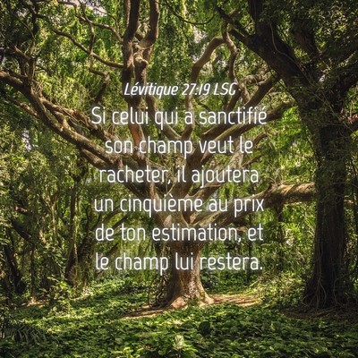 Picture 04 - Lévitique 27:19 LSG - Si celui qui a sanctifié son champ veut le - Bible Verse Picture