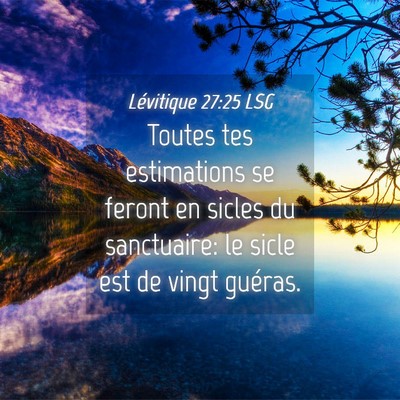 Picture 04 - Lévitique 27:25 LSG - Toutes tes estimations se feront en sicles du - Bible Verse Picture