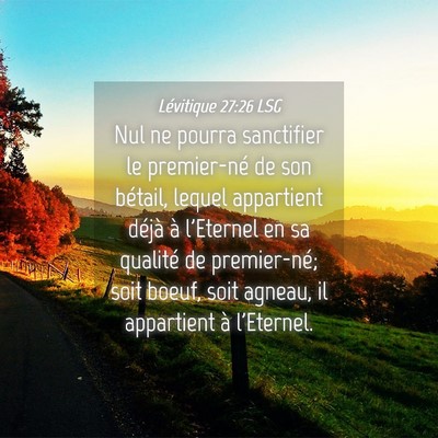 Picture 04 - Lévitique 27:26 LSG - Nul ne pourra sanctifier le premier-né de son - Bible Verse Picture