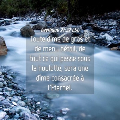 Picture 04 - Lévitique 27:32 LSG - Toute dîme de gros et de menu bétail, de tout - Bible Verse Picture