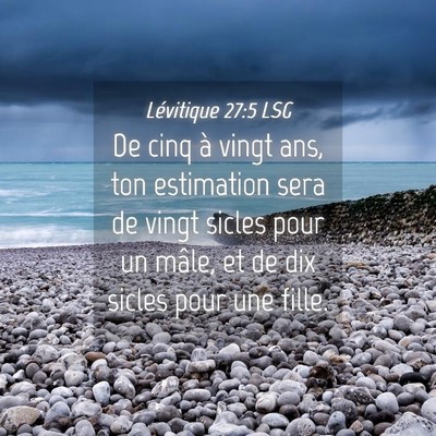 Picture 04 - Lévitique 27:5 LSG - De cinq à vingt ans, ton estimation sera de - Bible Verse Picture