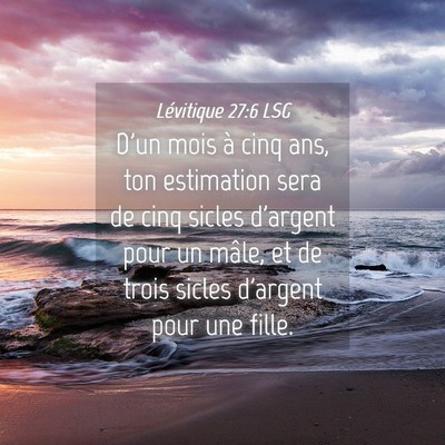 Picture 04 - Lévitique 27:6 LSG - D'un mois à cinq ans, ton estimation sera de - Bible Verse Picture