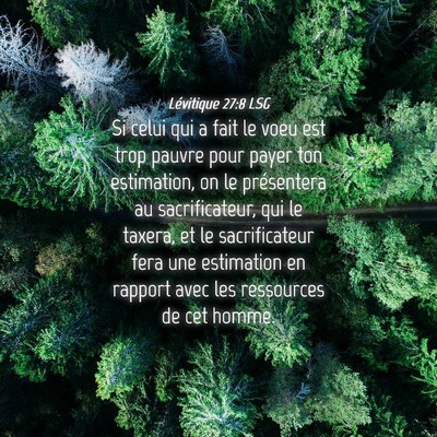 Picture 04 - Lévitique 27:8 LSG - Si celui qui a fait le voeu est trop pauvre pour - Bible Verse Picture