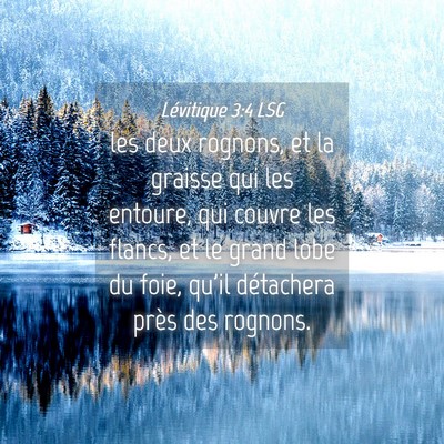 Picture 04 - Lévitique 3:4 LSG - les deux rognons, et la graisse qui les entoure, - Bible Verse Picture
