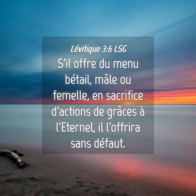 Picture 04 - Lévitique 3:6 LSG - S'il offre du menu bétail, mâle ou femelle, en - Bible Verse Picture