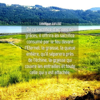 Picture 04 - Lévitique 3:9 LSG - De ce sacrifice d'actions de grâces, il offrira - Bible Verse Picture