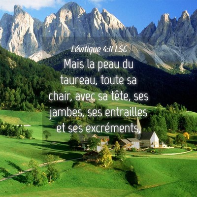 Picture 04 - Lévitique 4:11 LSG - Mais la peau du taureau, toute sa chair, avec sa - Bible Verse Picture