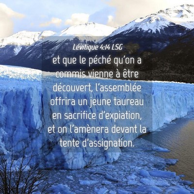Picture 04 - Lévitique 4:14 LSG - et que le péché qu'on a commis vienne à être - Bible Verse Picture