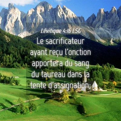 Picture 04 - Lévitique 4:16 LSG - Le sacrificateur ayant reçu l'onction apportera - Bible Verse Picture
