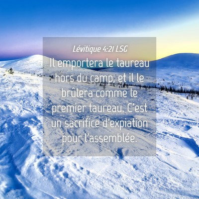 Picture 04 - Lévitique 4:21 LSG - Il emportera le taureau hors du camp, et il le - Bible Verse Picture
