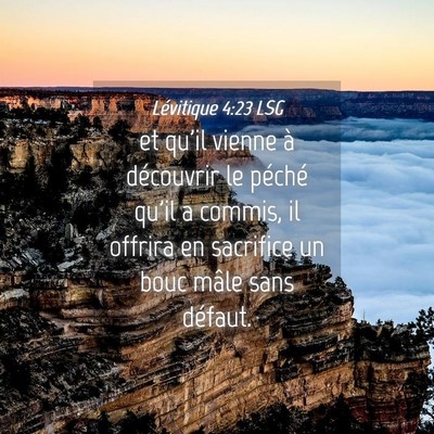 Picture 04 - Lévitique 4:23 LSG - et qu'il vienne à découvrir le péché qu'il a - Bible Verse Picture