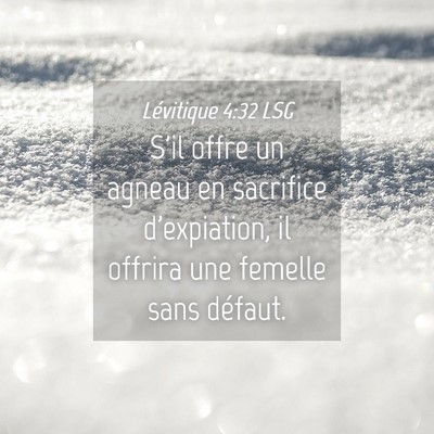 Picture 04 - Lévitique 4:32 LSG - S'il offre un agneau en sacrifice d'expiation, il - Bible Verse Picture