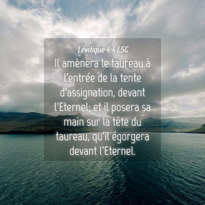 Picture 04 - Lévitique 4:4 LSG - Il amènera le taureau à l'entrée de la tente - Bible Verse Picture