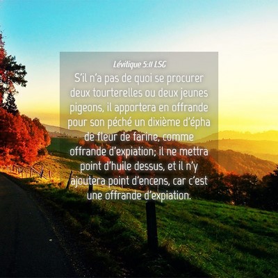 Picture 04 - Lévitique 5:11 LSG - S'il n'a pas de quoi se procurer deux - Bible Verse Picture