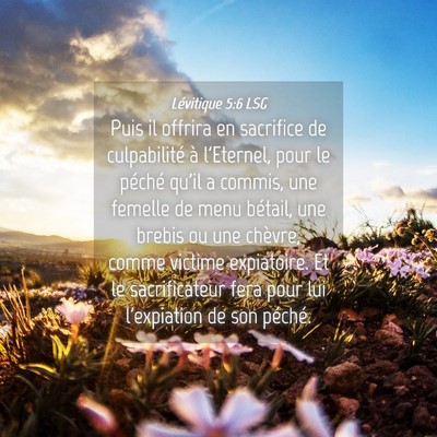 Picture 04 - Lévitique 5:6 LSG - Puis il offrira en sacrifice de culpabilité à - Bible Verse Picture