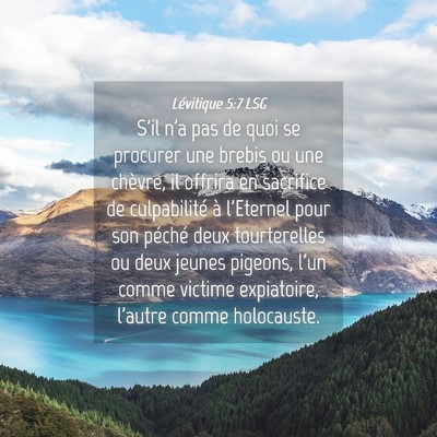 Picture 04 - Lévitique 5:7 LSG - S'il n'a pas de quoi se procurer une brebis ou - Bible Verse Picture