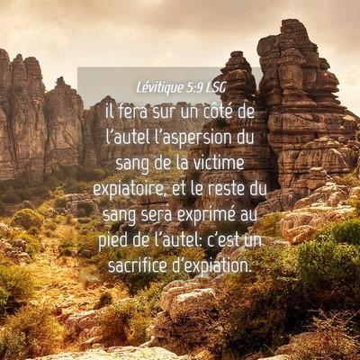 Picture 04 - Lévitique 5:9 LSG - il fera sur un côté de l'autel l'aspersion du - Bible Verse Picture