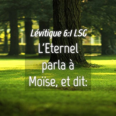 Picture 04 - Lévitique 6:1 LSG - L'Eternel parla à Moïse, et - Bible Verse Picture