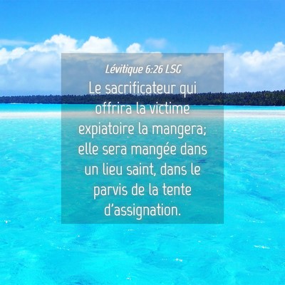 Picture 04 - Lévitique 6:26 LSG - Le sacrificateur qui offrira la victime - Bible Verse Picture