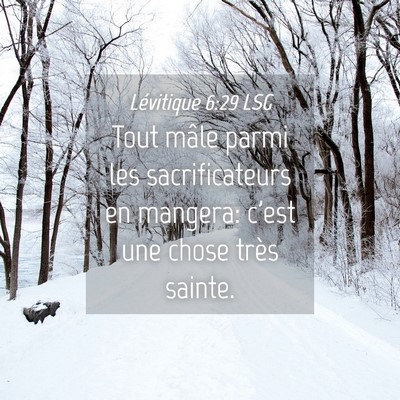 Picture 04 - Lévitique 6:29 LSG - Tout mâle parmi les sacrificateurs en mangera: - Bible Verse Picture