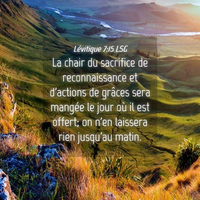 Picture 04 - Lévitique 7:15 LSG - La chair du sacrifice de reconnaissance et - Bible Verse Picture