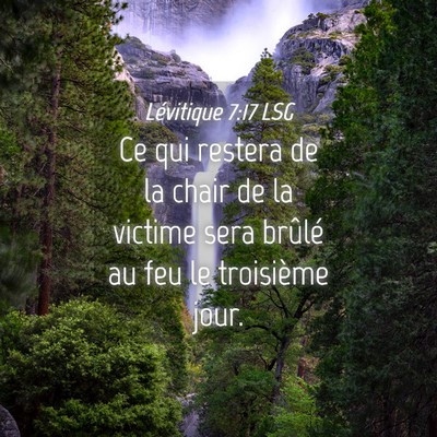Picture 04 - Lévitique 7:17 LSG - Ce qui restera de la chair de la victime sera - Bible Verse Picture