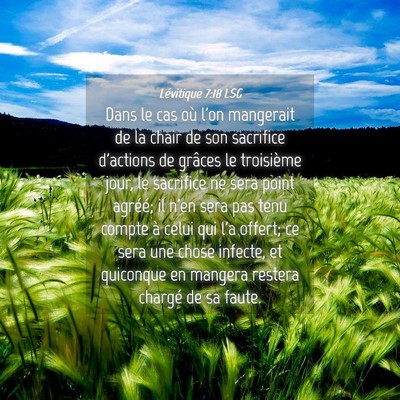 Picture 04 - Lévitique 7:18 LSG - Dans le cas où l'on mangerait de la chair de son - Bible Verse Picture