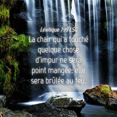 Picture 04 - Lévitique 7:19 LSG - La chair qui a touché quelque chose d'impur ne - Bible Verse Picture