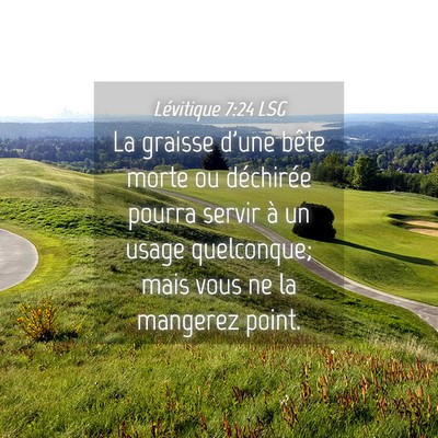 Picture 04 - Lévitique 7:24 LSG - La graisse d'une bête morte ou déchirée pourra - Bible Verse Picture
