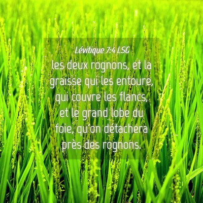 Picture 04 - Lévitique 7:4 LSG - les deux rognons, et la graisse qui les entoure, - Bible Verse Picture
