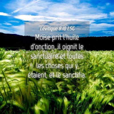 Picture 04 - Lévitique 8:10 LSG - Moïse prit l'huile d'onction, il oignit le - Bible Verse Picture