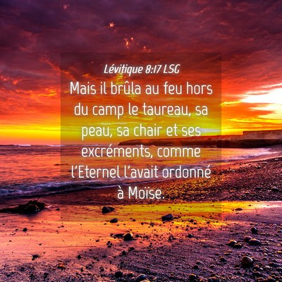 Picture 04 - Lévitique 8:17 LSG - Mais il brûla au feu hors du camp le taureau, sa - Bible Verse Picture