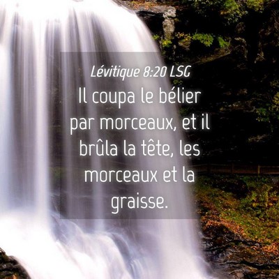 Picture 04 - Lévitique 8:20 LSG - Il coupa le bélier par morceaux, et il brûla la - Bible Verse Picture