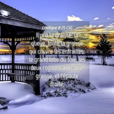 Picture 04 - Lévitique 8:25 LSG - Il prit la graisse, la queue, toute la graisse - Bible Verse Picture