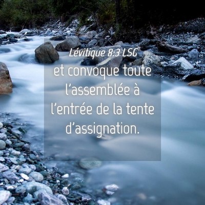 Picture 04 - Lévitique 8:3 LSG - et convoque toute l'assemblée à l'entrée de la - Bible Verse Picture